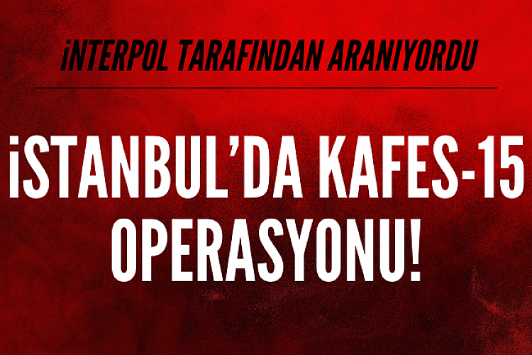 Interpol tarafından aranan örgüt İstanbul'da yakalandı