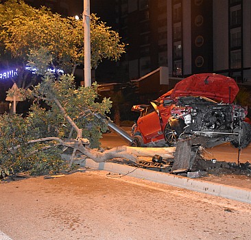 Adana'da otomobil refüjdeki ağaca çarptı: 2 yaralı