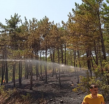 Kastamonu'da ormanlık alanda çıkan yangında 3 dekar alan zarar gördü