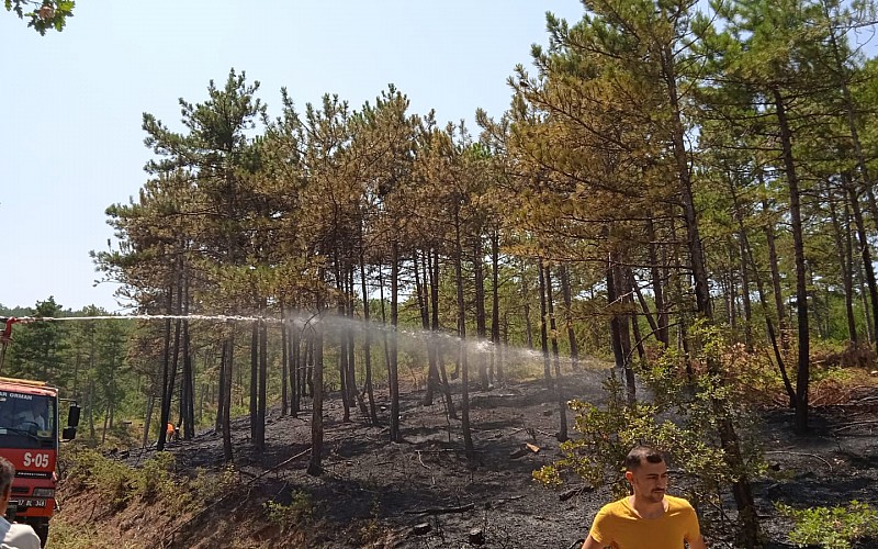 Kastamonu'da ormanlık alanda çıkan yangında 3 dekar alan zarar gördü
