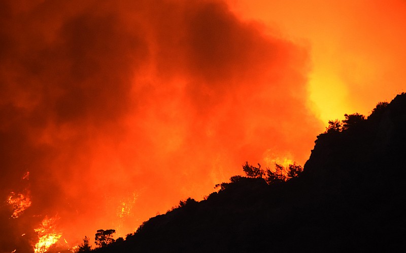 Milas ve Bodrum'da ormanlık alanda çıkan yangınlar kontrol altına alınmaya çalışılıyor