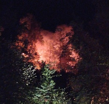 Muğla'nın Ula ilçesindeki ormanlık  ve zeytinlik alanda yangın çıktı