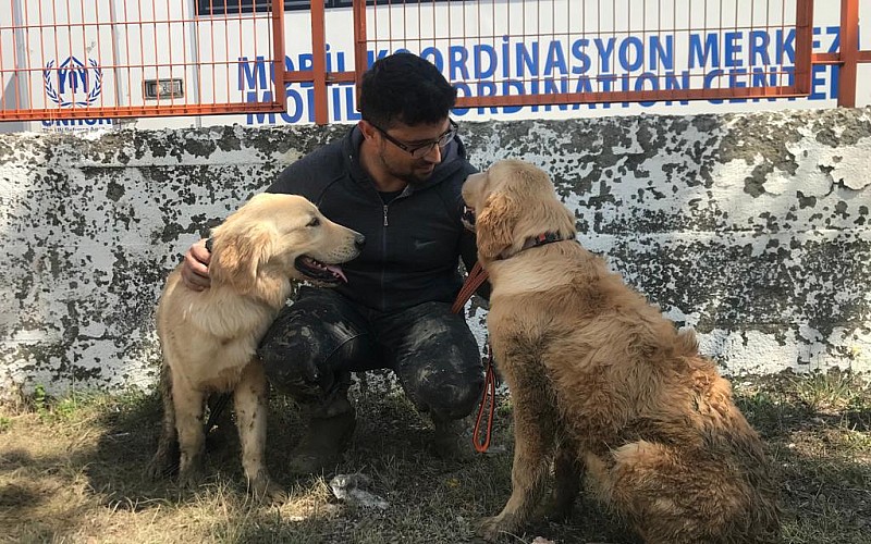 Ayancık'taki sel nedeniyle şantiyede mahsur kalan iki köpek iş makinesiyle kurtarıldı