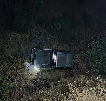 Aydın'da uçuruma devrilen kamyonetin sürücüsü öldü