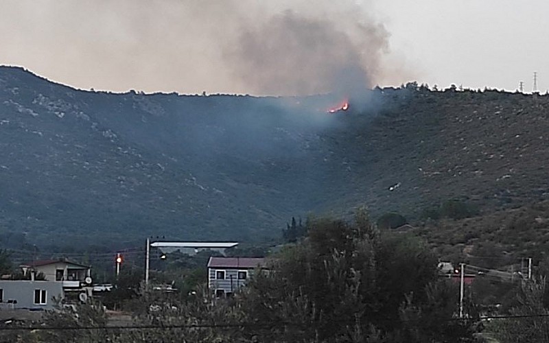 İzmir'de ormanlık alanda çıkan yangına müdahale ediliyor
