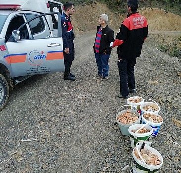 Karabük'te ormanlık alanda kaybolan 2 kişi bulundu
