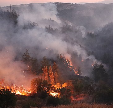 GÜNCELLEME - Hatay'da çıkan orman yangınına müdahale ediliyor