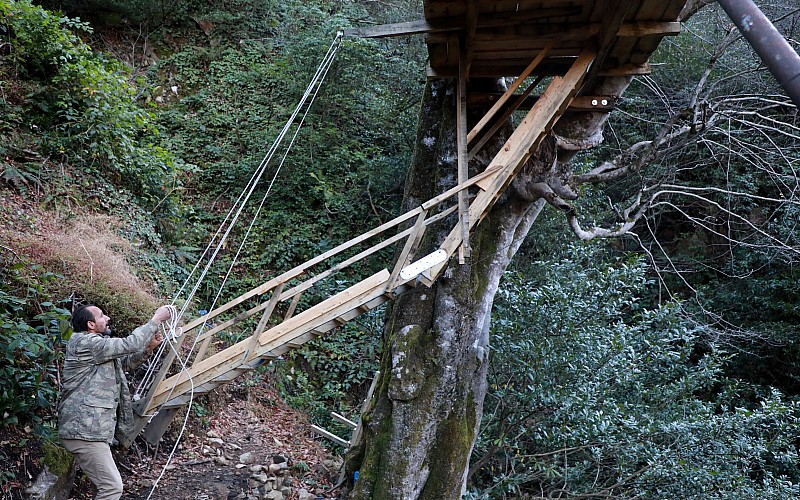 Şehrin gürültüsünden uzaklaşmak için yükseklik korkusuna rağmen ağaca ev yaptı