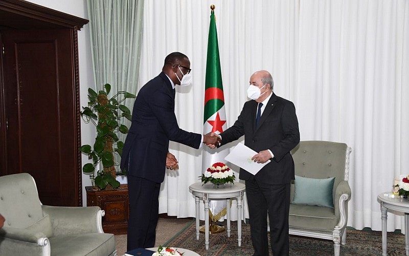 Tebbun, Mali Dışişleri Bakanı Diop ile ülkesindeki demokratikleşme sürecini görüştü