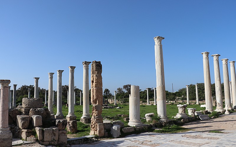 KKTC'de binlerce yıllık geçmişe sahip antik kent: Salamis Harabeleri