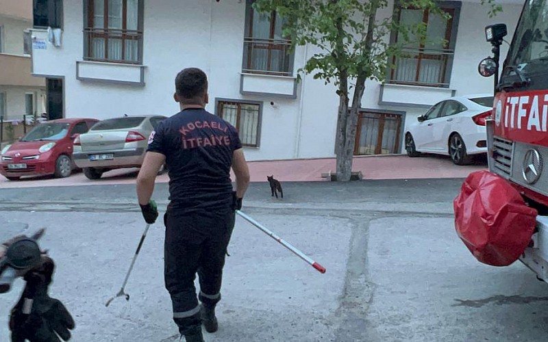 Kocaeli'de kablo bacasına sıkışan kediyi itfaiye kurtardı