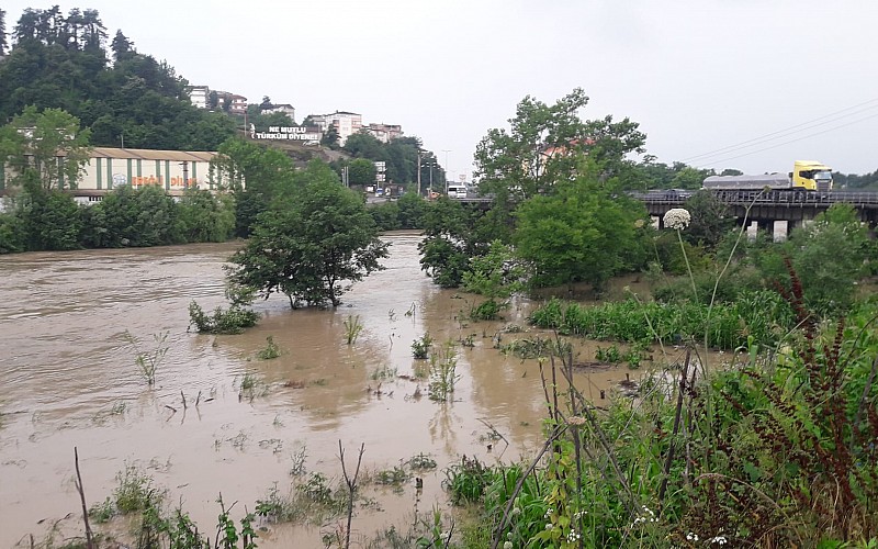 Zonguldak'ta sağanak nedeniyle ırmak taştı, tarım arazileri su altında kaldı