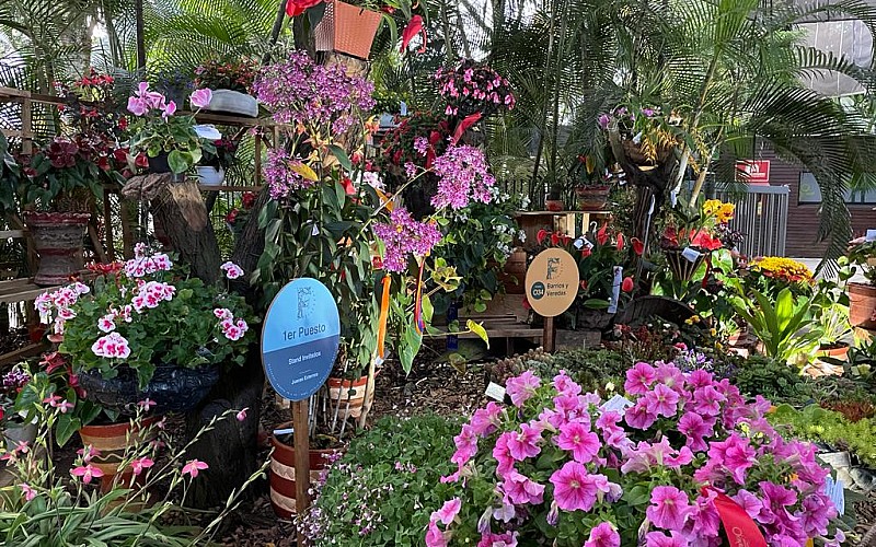 Kolombiya'da "Orkide Festivali" başladı
