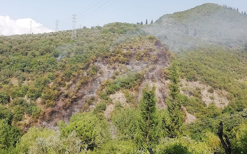 Kocaeli'de ormanlık alanda çıkan yangına müdahale ediliyor