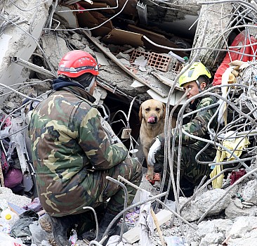 Kardeş ülke Azerbaycan'ın arama kurtarma ekipleri depremzedelerin yardımına koşuyor