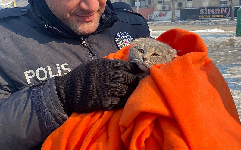 Depremde mahsur kalan kedi, polis tarafından iş makinesi yardımıyla kurtarıldı