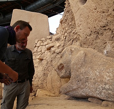 Göbeklitepe'de bulunan yaban domuzu heykeli   görüntülendi
