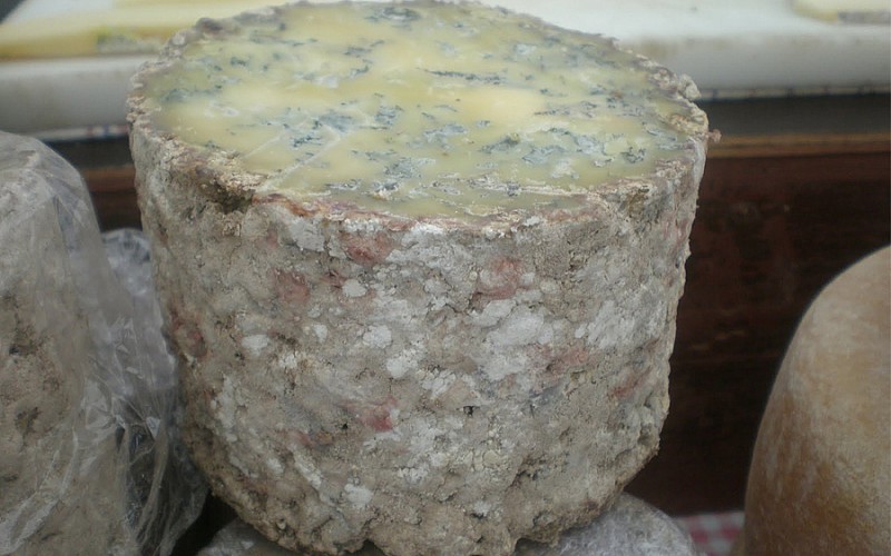 Osmanlı küflü peynirin antibiyotik etkisini 500yıl önce keşfetti