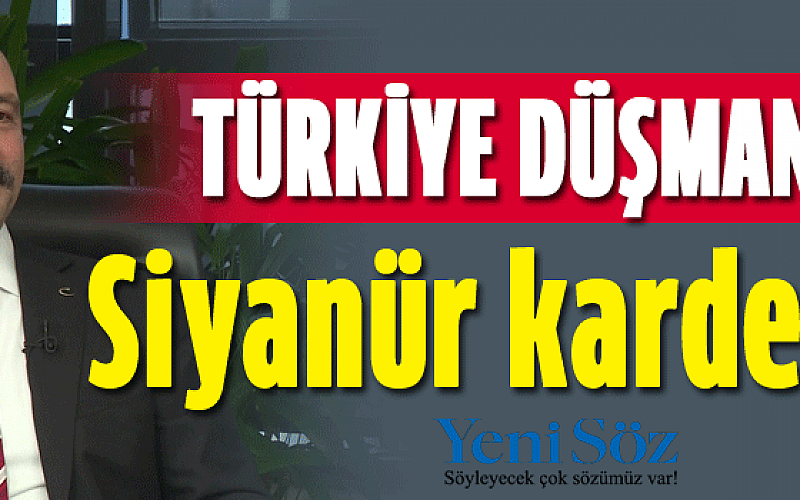 Siyanur kardeşliği Türkiye düşmanlığı