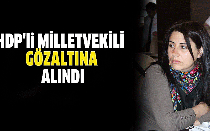 HDP'li milletvekili PKK'ya silah götürürken yakalandı