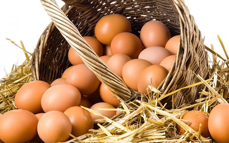 Yumurta samanla satılınca 'köy yumurtası' oluyor!