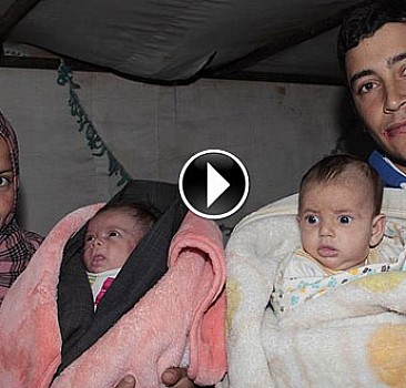 Suriyeli ikiz bebekler, çadırda büyüyor