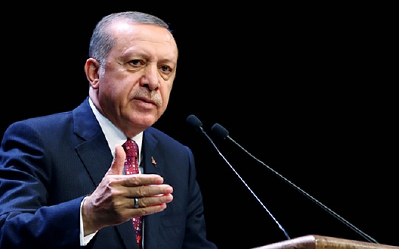 Cumhurbaşkanı Erdoğan yargıya başvurdu