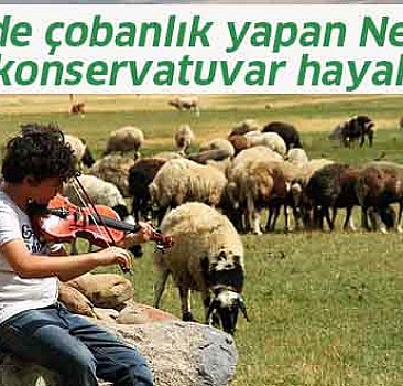 Tatillerde çobanlık yapan Nesimi'nin konservatuvar hayali