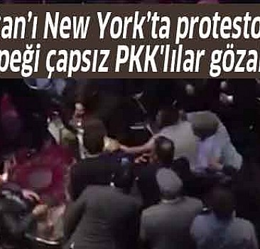 Erdoğan’ı New York’ta protesto eden batının köpeği çapsız PKK'lılar gözaltına alındı