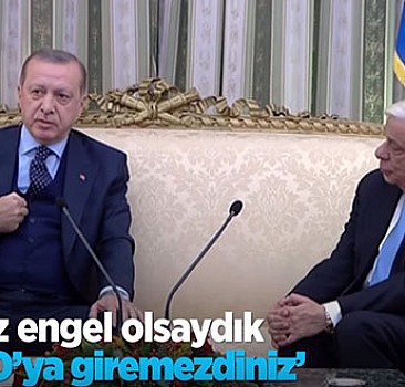 Erdoğan'dan Yunan Cumhurbaşkanına: Engel olsaydık NATO'ya giremezdiniz