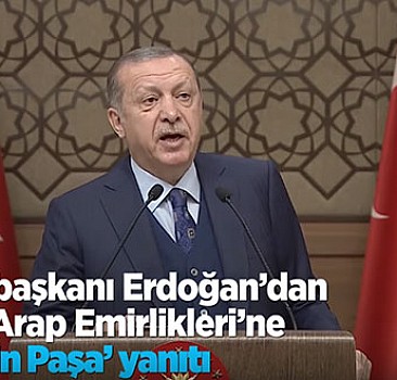 Erdoğan’dan Birleşik Arap Emirlikleri'ne 'Fahrettin Paşa' yanıtı