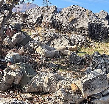 Bitlis ve Siirt'te 'Kıran-8 Sehi Ormanları Operasyonu' başladı