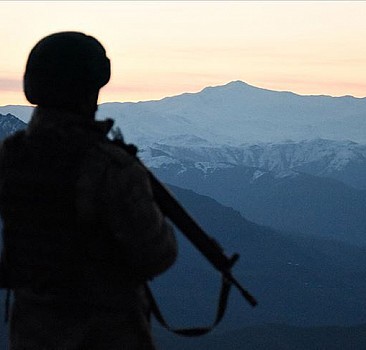 İkna edilerek teslim olan PKK'lı teröristin kırmızı bültenle arandığı belirlendi