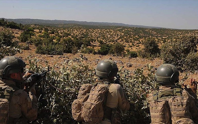 Jandarma ekiplerinin ikna ettiği PKK'lı terörist teslim oldu