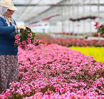 Çiçekçiler 'Anneler Günü'nde' sokağa çıkma kısıtlamasından muafiyet istiyor